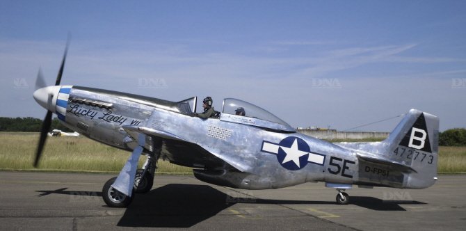 P51 Mustang DNA